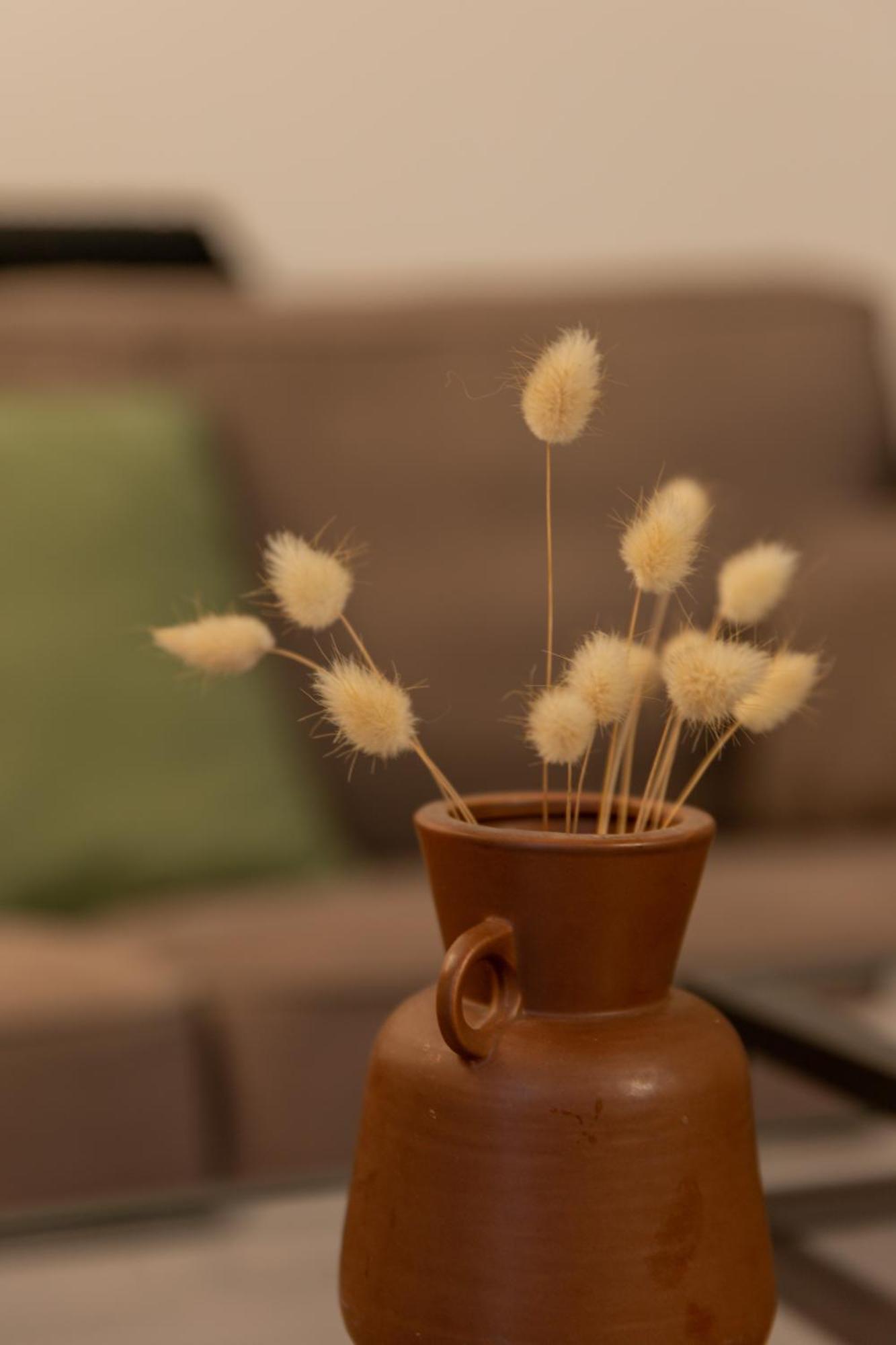 Delalauret Apartment - Vannes Centre Екстериор снимка