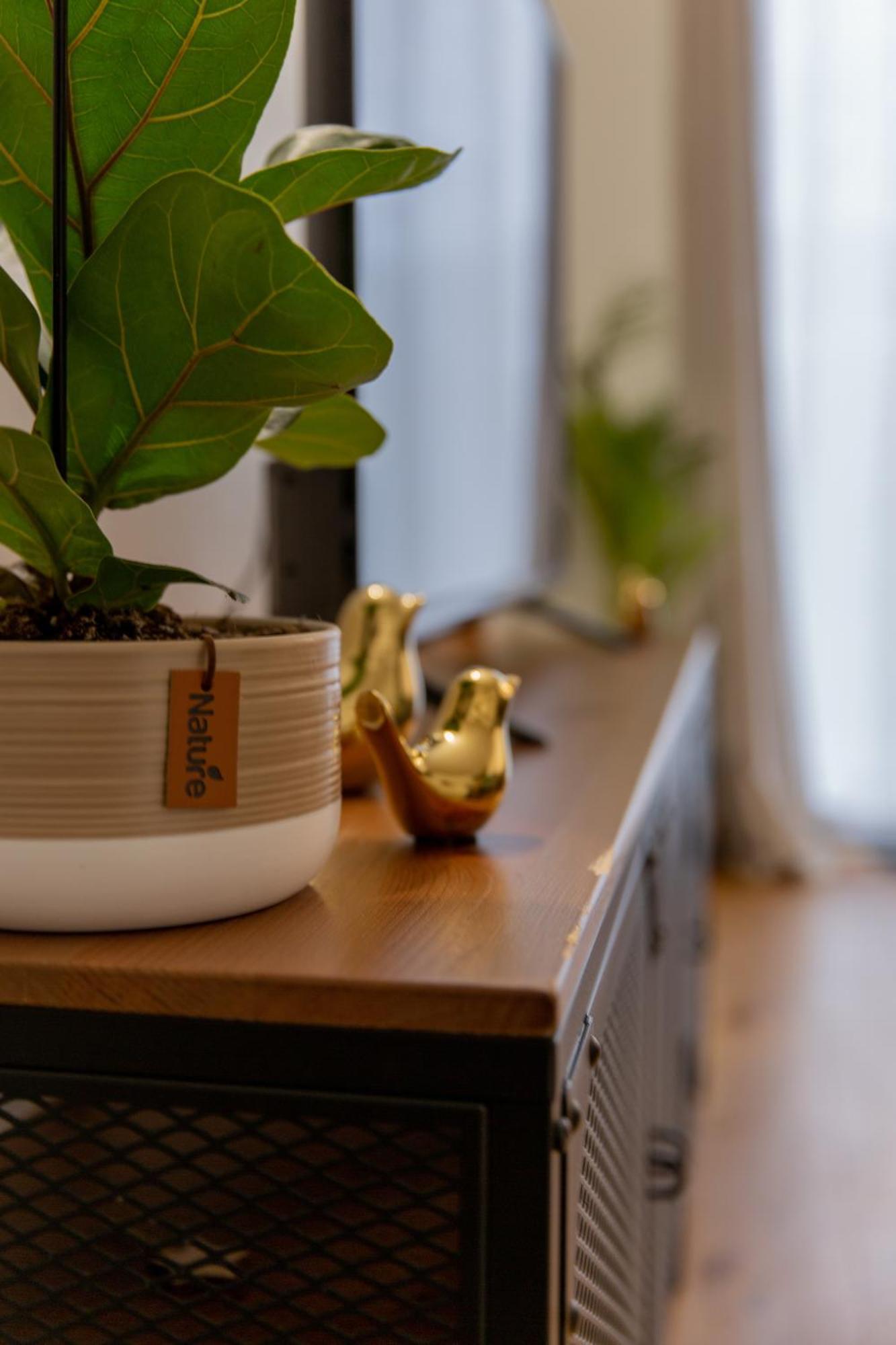 Delalauret Apartment - Vannes Centre Екстериор снимка